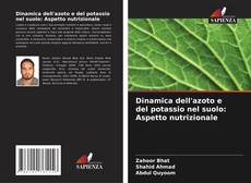 Copertina di Dinamica dell'azoto e del potassio nel suolo: Aspetto nutrizionale