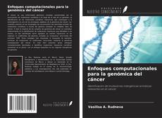 Buchcover von Enfoques computacionales para la genómica del cáncer