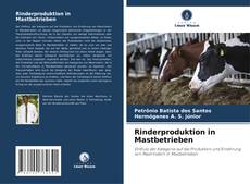 Copertina di Rinderproduktion in Mastbetrieben