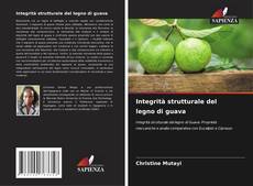 Integrità strutturale del legno di guava的封面
