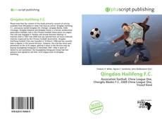 Qingdao Hailifeng F.C. kitap kapağı