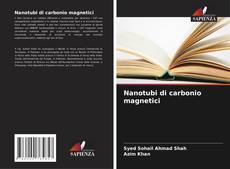 Copertina di Nanotubi di carbonio magnetici