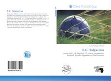 Portada del libro de S.C. Salgueiros