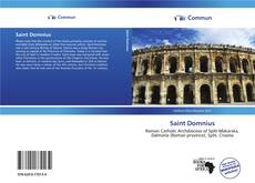 Saint Domnius kitap kapağı