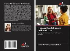 Il progetto del ponte dell'amicizia kitap kapağı