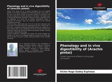 Borítókép a  Phenology and in vivo digestibility of (Arachis pintoi) - hoz