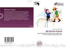 Capa do livro de NK Kamen Ingrad 