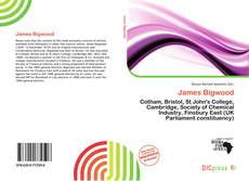 Portada del libro de James Bigwood