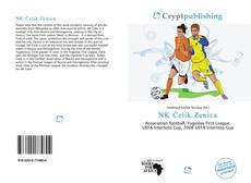 Bookcover of NK Čelik Zenica