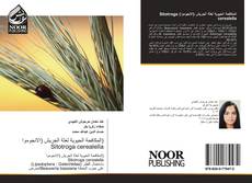 Capa do livro de المكافحة الحيوية لعثة الجريش (الانجوموا) Sitotroga cerealella 