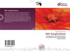 GM1 Gangliosidoses的封面