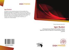 Bookcover of Igor Budan