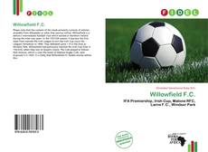 Capa do livro de Willowfield F.C. 