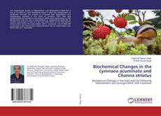Copertina di Biochemical Changes in the Lymnaea acuminata and Channa striatus