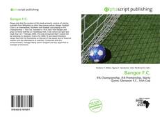 Borítókép a  Bangor F.C. - hoz