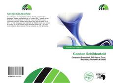 Portada del libro de Gordon Schildenfeld