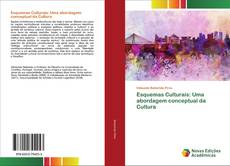 Esquemas Culturais: Uma abordagem conceptual da Cultura的封面