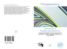 Bookcover of Vojtěch Schulmeister