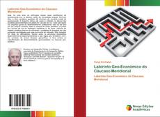 Labirinto Geo-Económico do Cáucaso Meridional的封面