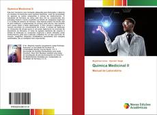 Buchcover von Química Medicinal II