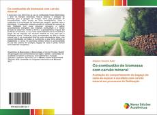 Couverture de Co-combustão de biomassa com carvão mineral
