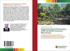 Buchcover von Diagnóstico Rural Participativo (DRP) da RESEX Chocoaré - Mato Grosso