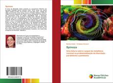 Buchcover von Spinoza