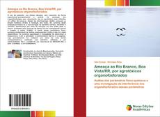 Buchcover von Ameaça ao Rio Branco, Boa Vista/RR, por agrotóxicos organofosforados