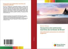 Buchcover von Geoquímica de sedimentos marinhos do nordeste do Brasil