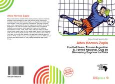 Portada del libro de Altos Hornos Zapla