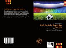 Bookcover of Club Social y Deportivo Flandria