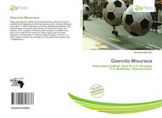 Gianvito Misuraca的封面