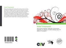 Buchcover von Vule Trivunović
