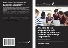 Copertina di Análisis de las percepciones de profesores y alumnos sobre el aprendizaje cooperativo