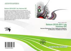 Bookcover of Saison 2010-2011 du Vannes OC