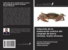 Buchcover von Inducción de la maduración ovárica del cangrejo de barro naranja, Scylla olivacea