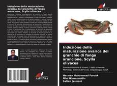 Bookcover of Induzione della maturazione ovarica del granchio di fango arancione, Scylla olivacea
