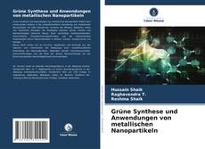 Capa do livro de Grüne Synthese und Anwendungen von metallischen Nanopartikeln 
