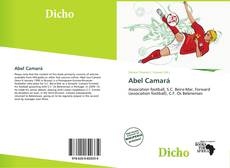 Bookcover of Abel Camará