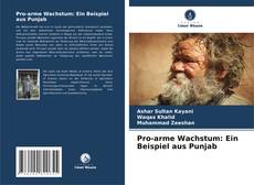 Buchcover von Pro-arme Wachstum: Ein Beispiel aus Punjab