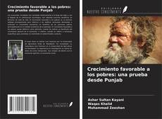 Copertina di Crecimiento favorable a los pobres: una prueba desde Punjab