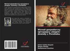 Borítókép a  Wzrost gospodarczy sprzyjający ubogim: dowody z Pendżabu - hoz