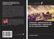 Copertina di Celulasa: optimización de la producción y aplicación en la nutrición animal