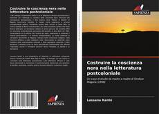 Costruire la coscienza nera nella letteratura postcoloniale的封面