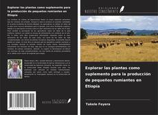 Copertina di Explorar las plantas como suplemento para la producción de pequeños rumiantes en Etiopía