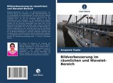 Copertina di Bildverbesserung im räumlichen und Wavelet-Bereich