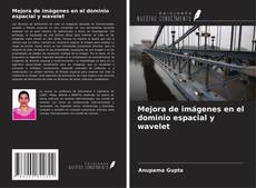 Copertina di Mejora de imágenes en el dominio espacial y wavelet
