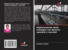 Copertina di Miglioramento delle immagini nel dominio spaziale e wavelet