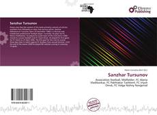 Couverture de Sanzhar Tursunov