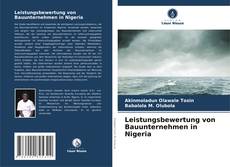 Leistungsbewertung von Bauunternehmen in Nigeria kitap kapağı